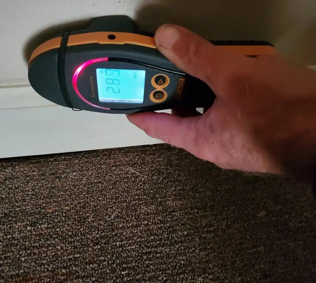 Moisture detection at baseboard during Sewage Cleanup & Sanitation in South Bend